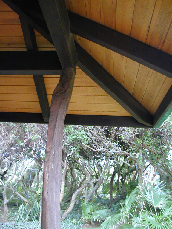 yellow cedar deck