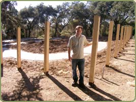 sage and the yellow cedar posts of the hungtington library courtyard