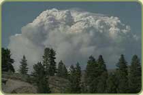 wildfire plume picture