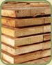 priming cedar icon