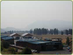 smoke from the fires.