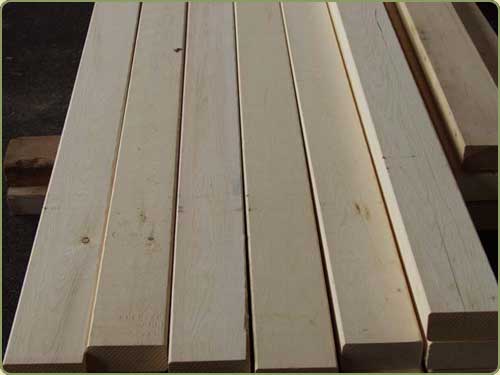 DETAILED IMAGE OF  ALASKAN YELLOW  CEDAR D AND BETTER GARDE