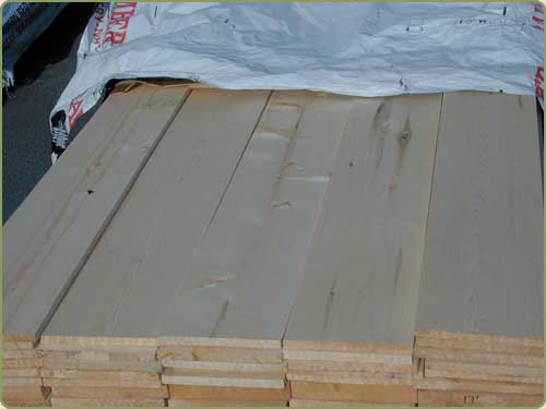 DETAILED IMAGE OF  ALASKAN YELLOW  CEDAR