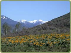 Methow valley lanscape