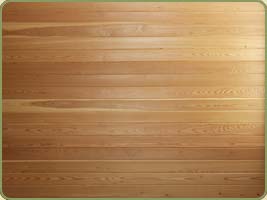 interior ceiling paneling
