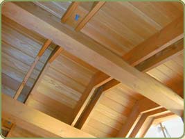 1x6 c and better ceiling paneling in application