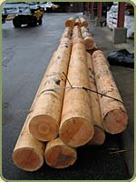 log ends