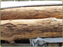 pine paneling