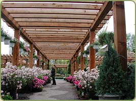 an image fo the nursery