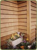 cedar image