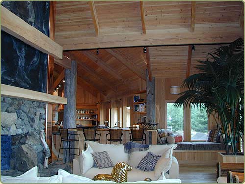 douglas fir interior ceiling paneling image