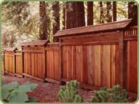 detail of the fir posts and red cedr fence in our yard