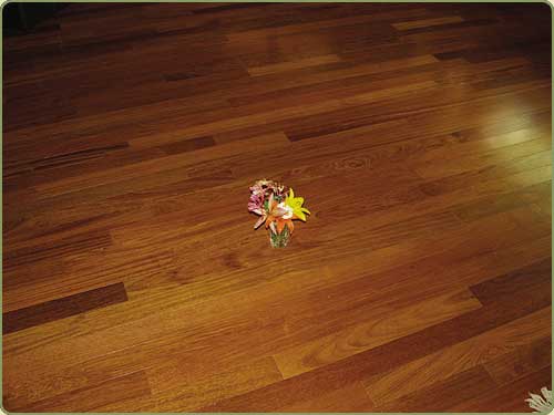 jatoba flooring image