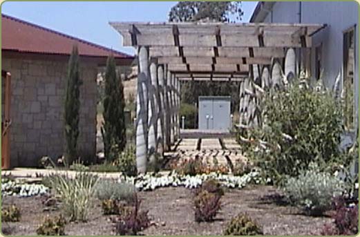 image of a desert trellis made with western red cedar