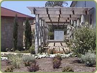red cedar garden icon