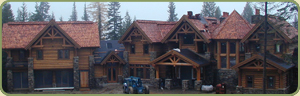western red cedar timbers icon