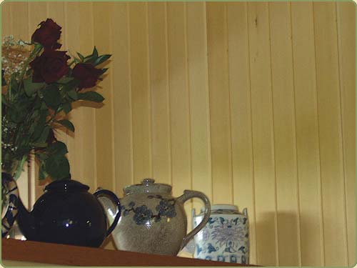 AYC interior paneling picture