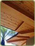 yellow cedar image