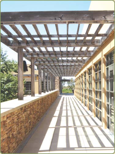 Image of alaskan yellow cedar utilized in a school in california.
