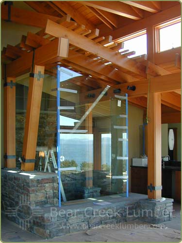 glas and fir beams make up this unusual shower