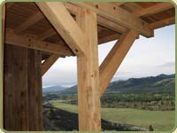 douglas fir post and beam icon