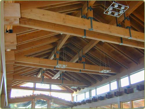 recycled douglas fir timbers and steel in this Potter Design Home