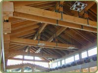 douglas fir post and beam icon