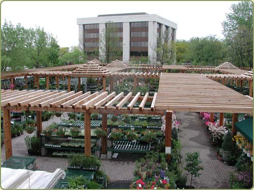 image ofa nursery with western red cedar pergolas