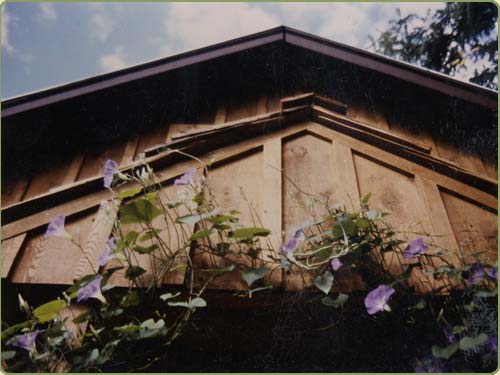 WRC painted bevel siding large image