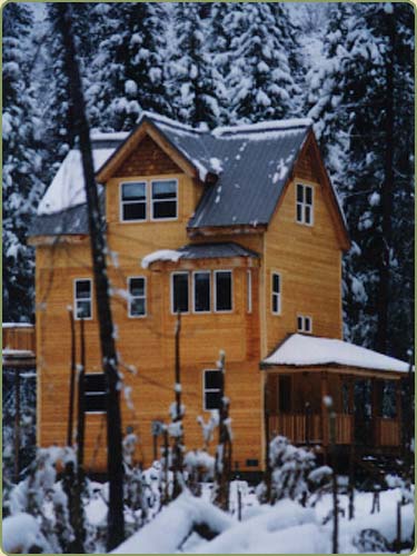 western red cedar siding on a cabin 