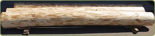 ten inch peeled logs