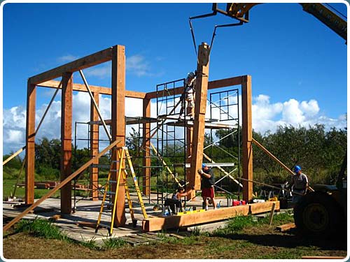 larger view of the AYC stairs