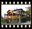 western red cedar shingle siding