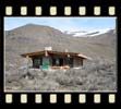 western red cedar shingle siding