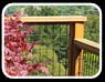 thumbanil of alaskan yellow cedar tongue and groove siding