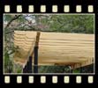 alaskan yellow cedar beams