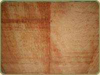 western red cedar timbers