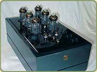 CUSTOME YELLOW CEDAR AMP