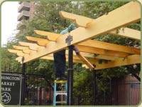 yellow cedar bemas