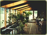 cedar decking image