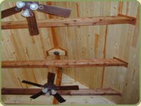 pine ceiling and red cedar beams