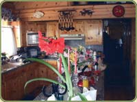 pine interior poaneling