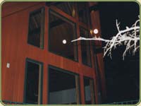 red cedar siding iamge