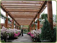 red cedar timbersd used on a garden center
