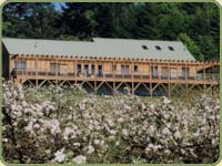 image from a distnace of a house with a cedar deck