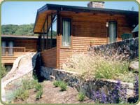 red cedar siding picture