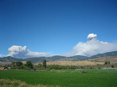 Tripod Fire and Spur fire