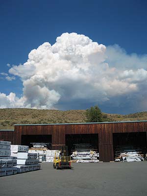 a view of the plume from our lumberyard
